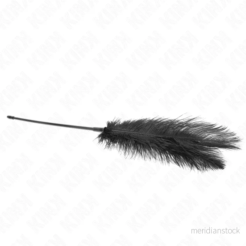 KINK - OSTRICH FEATHERS FOR TICKLE 19 CM - Bild 2