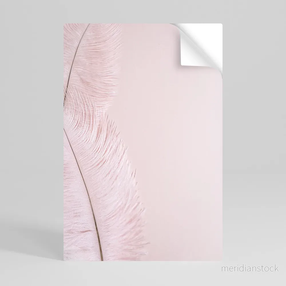 WHISPERING PINK FEATHERS Självhäftande Vertikal Poster - Bild 2