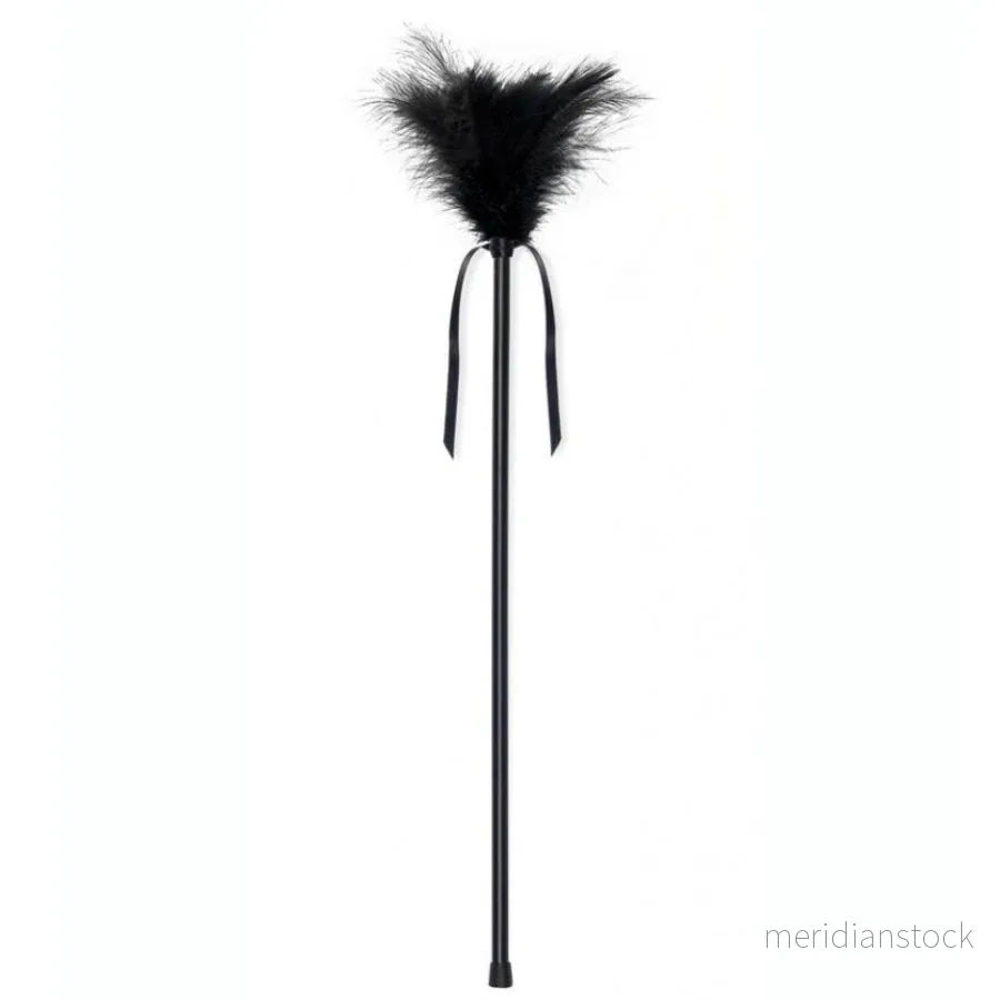 SECRETPLAY - BLACK FEATHERS 40 CM - Bild 2