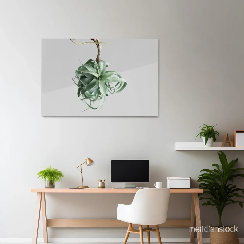 TANGLE OF NATURE Horizontal Canvas Print