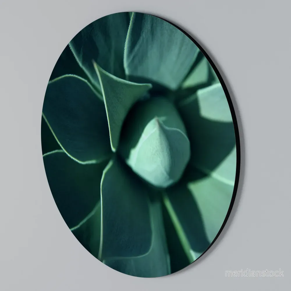MYSTICAL GREEN WHORL Rund väggdekor - Bild 2