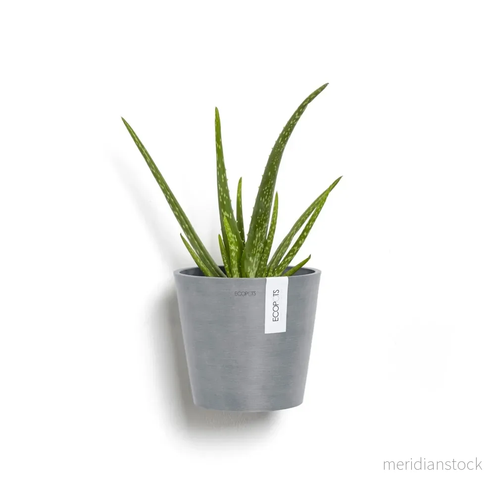 Kruka Amsterdam vägg 20cm blågrå - Bild 2