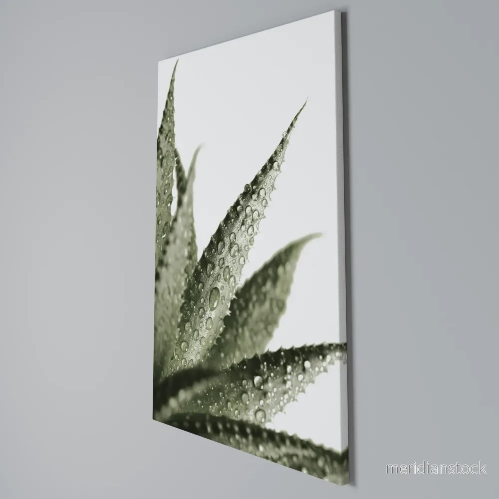 DEWDROP SYMPHONY Vertical Canvas Print - Bild 3