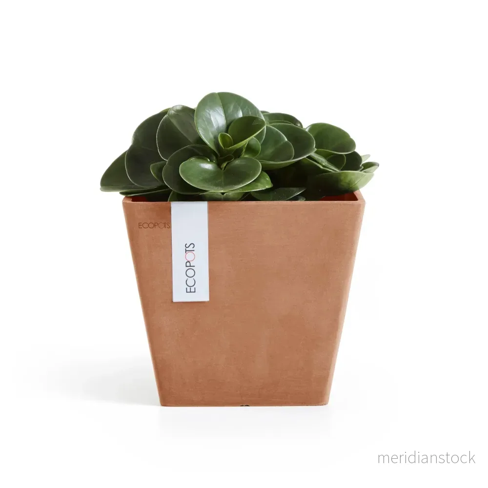 Kruka Rotterdam 20cm terrakotta Kruka Rotterdam 20cm terrakotta