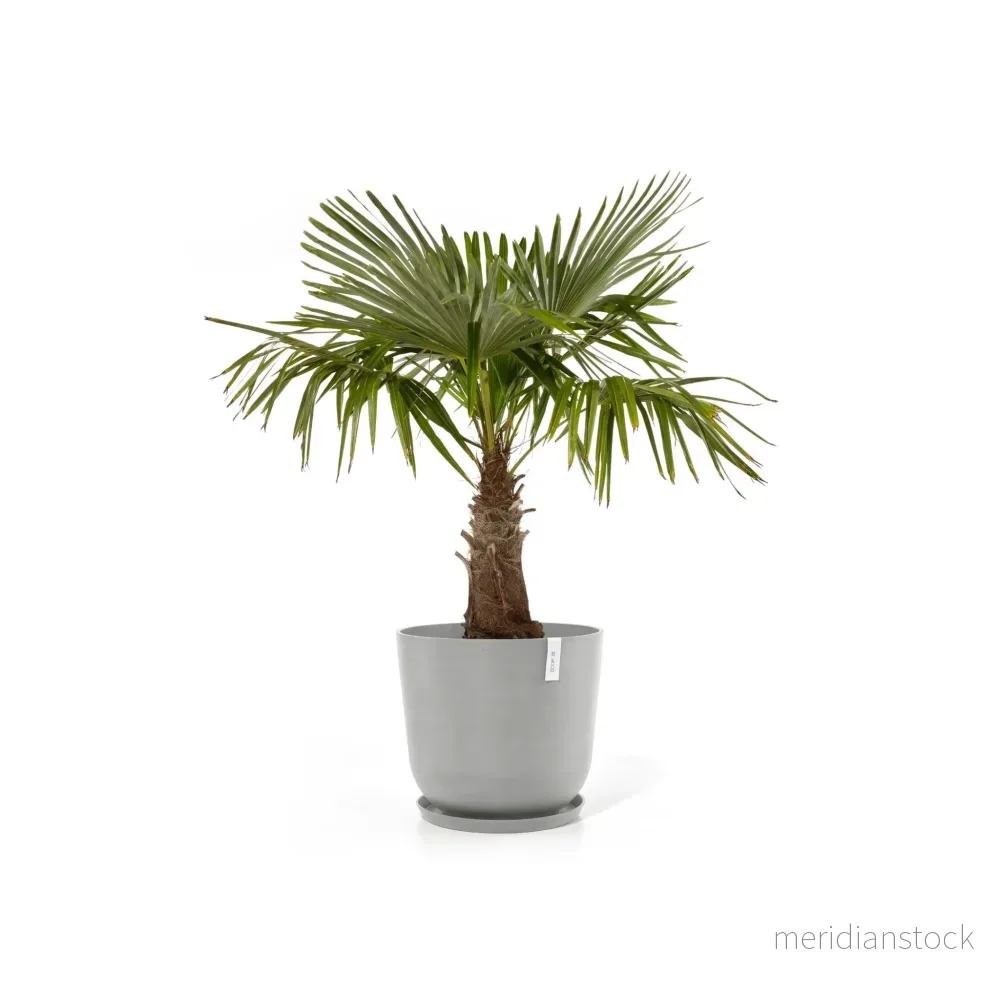 Kruka Oslo 65cm vit grå - Bild 3