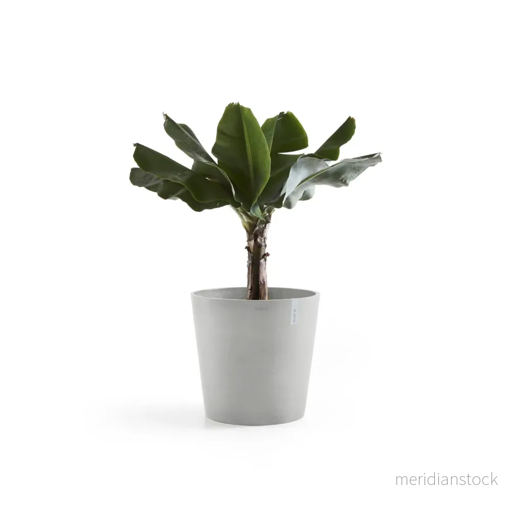 Kruka Amsterdam 60cm vitgrå