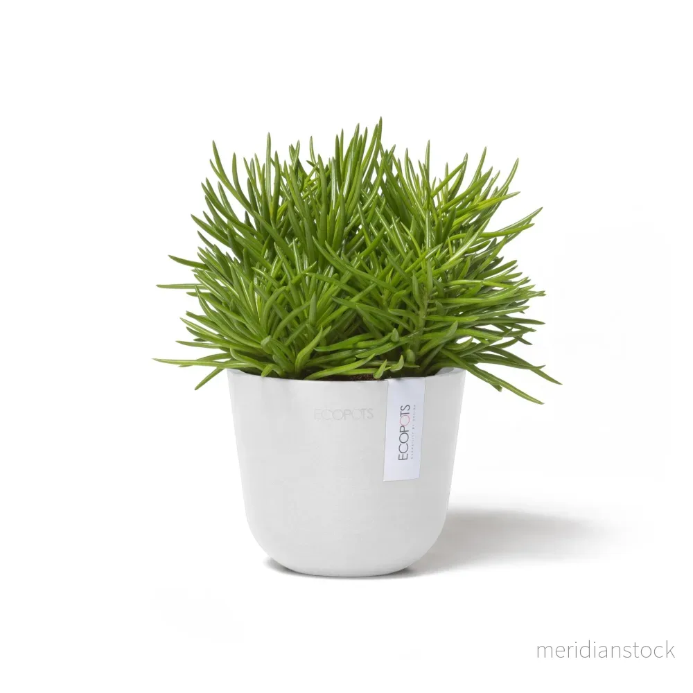 Kruka Oslo 11,5cm vit