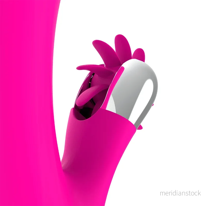 DIVERSIA - BUNNY VIBRATING 24 CM
