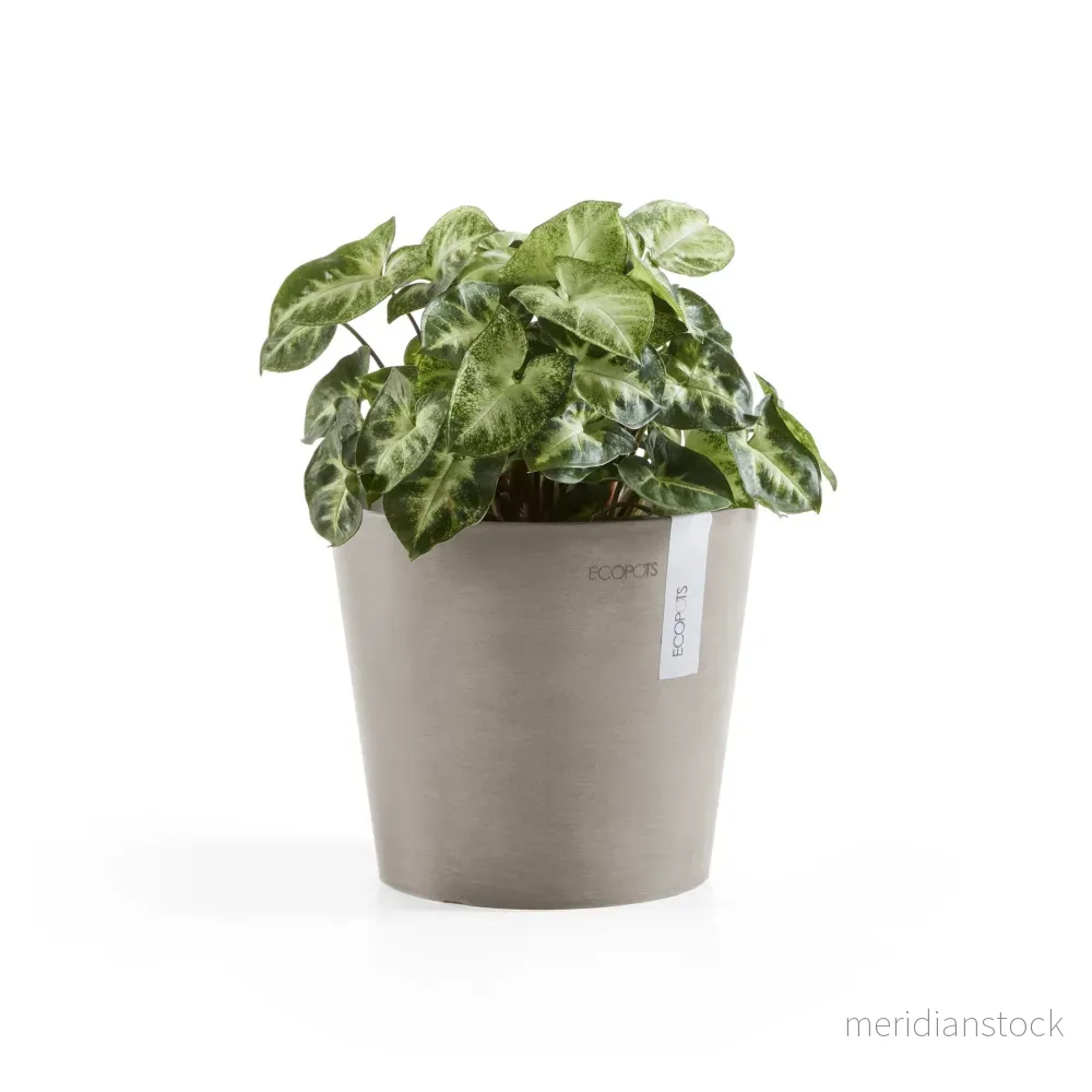 Kruka Amsterdam 17cm taupe - Bild 3