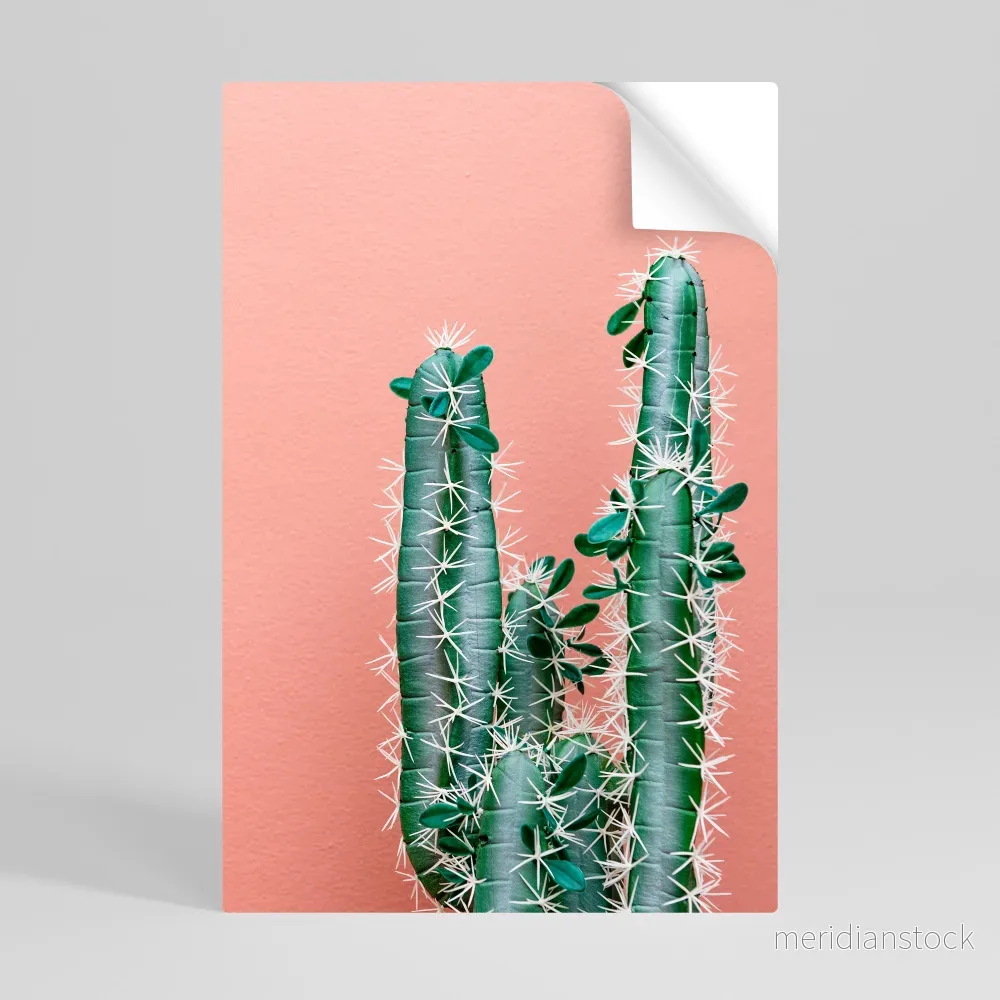 LORD CACTUS Självhäftande Vertikal Poster - Bild 3
