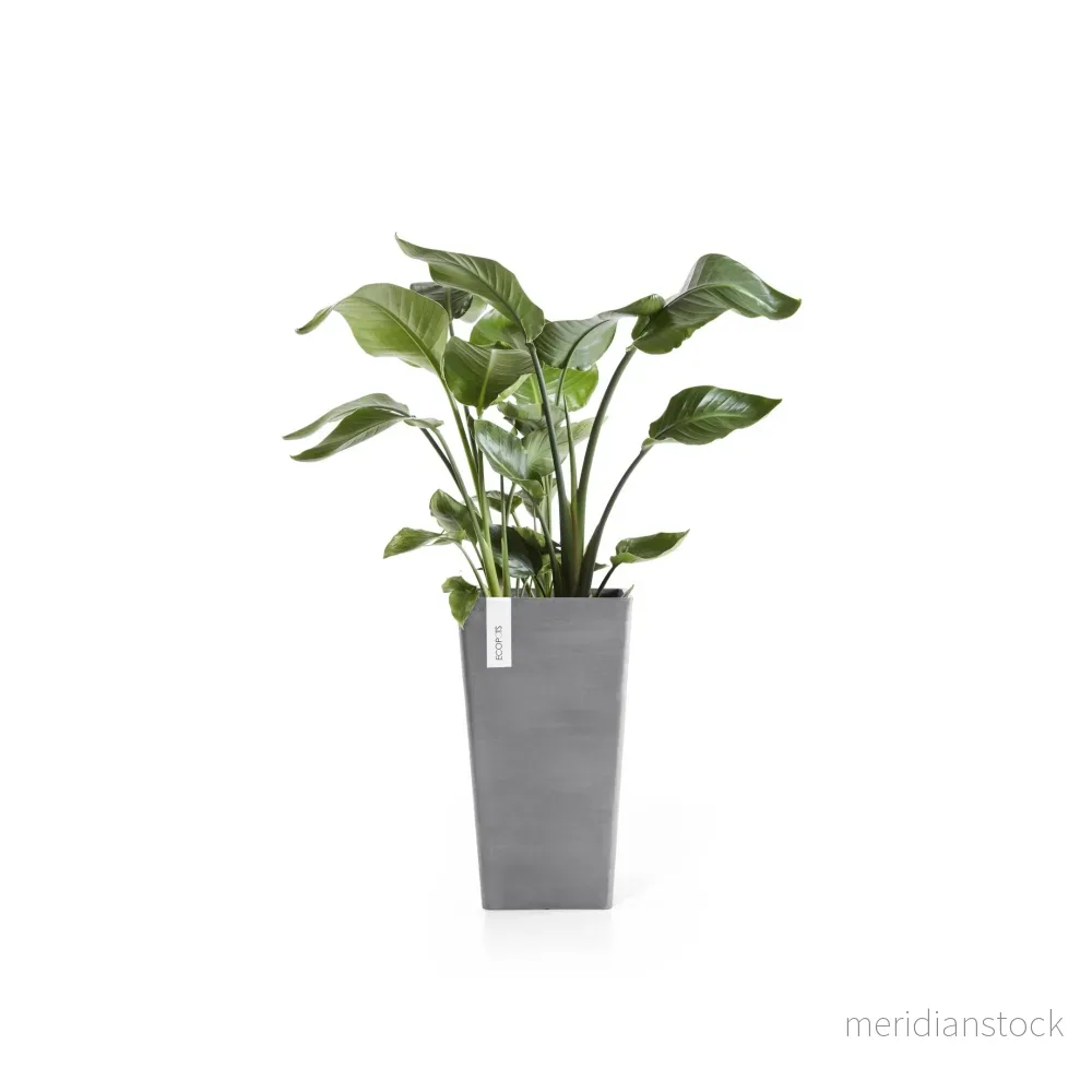 Kruka Rotterdam medelhög 56cm grå