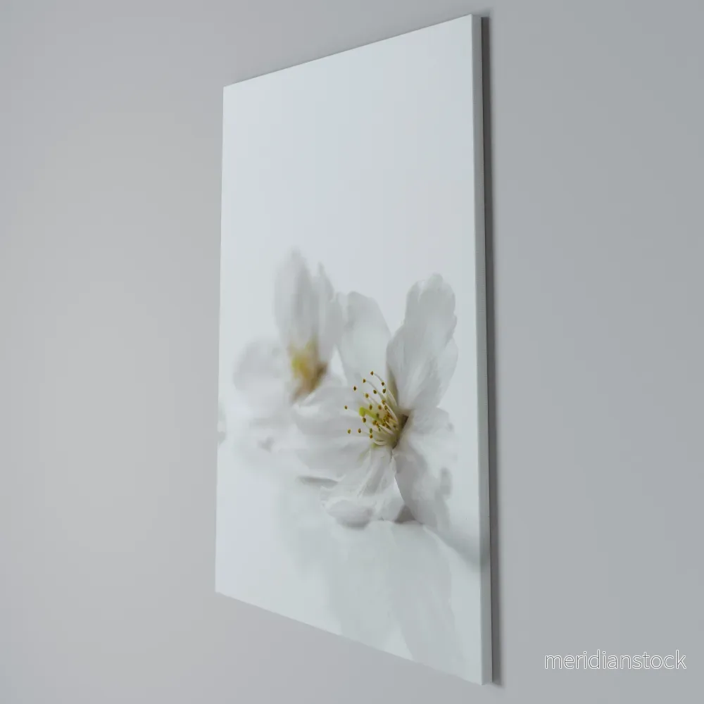 FLEETING WHITE PETALS Vertical Canvas Print - Bild 3
