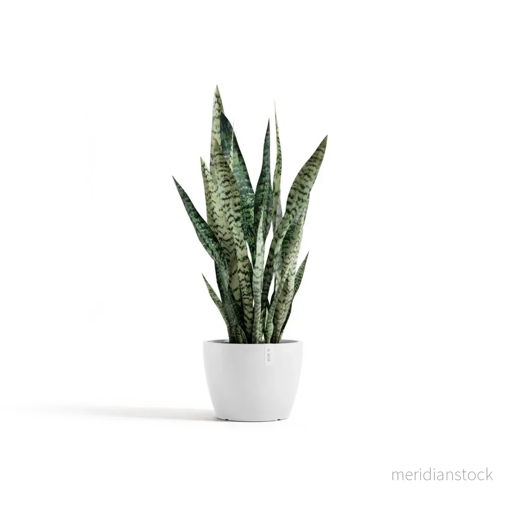 Blomkruka Stockholm 24cm vit Blomkruka Stockholm 24cm vit