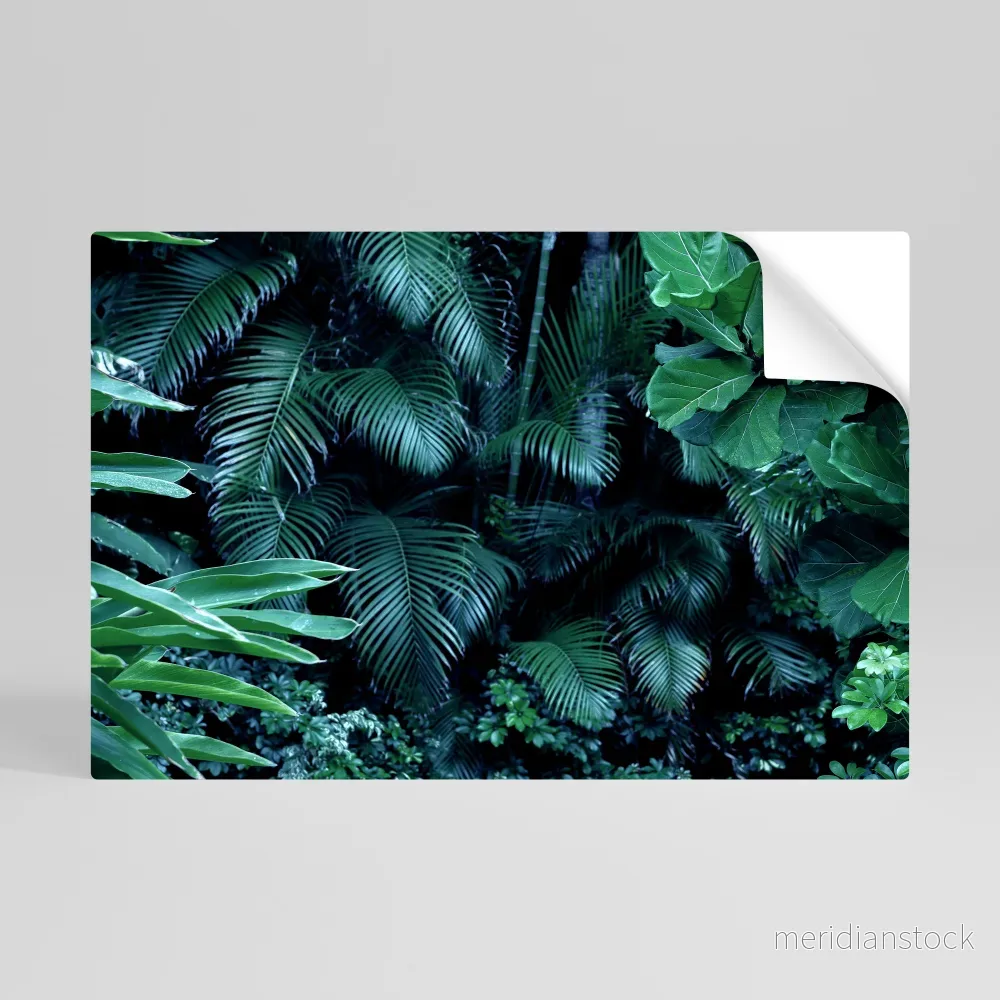 DEEP JUNGLE SERENADE Självhäftande Horisontell Poster - Bild 2