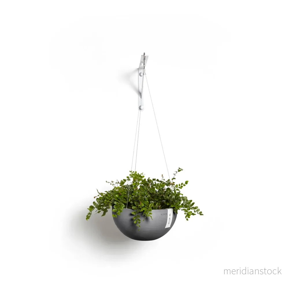 Kruka Bryssel hängbar 27cm grå Kruka Bryssel hängbar 27cm grå