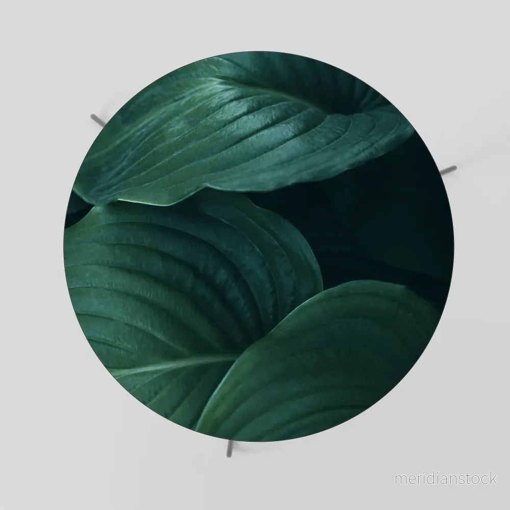SUBTLE BOTANICAL HUES Soffbord - Bild 2