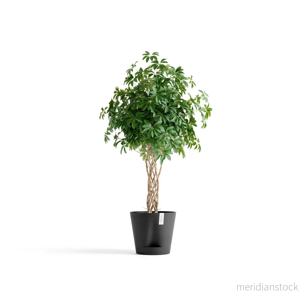 Kruka Venedig 2.0 40cm mörkgrå
