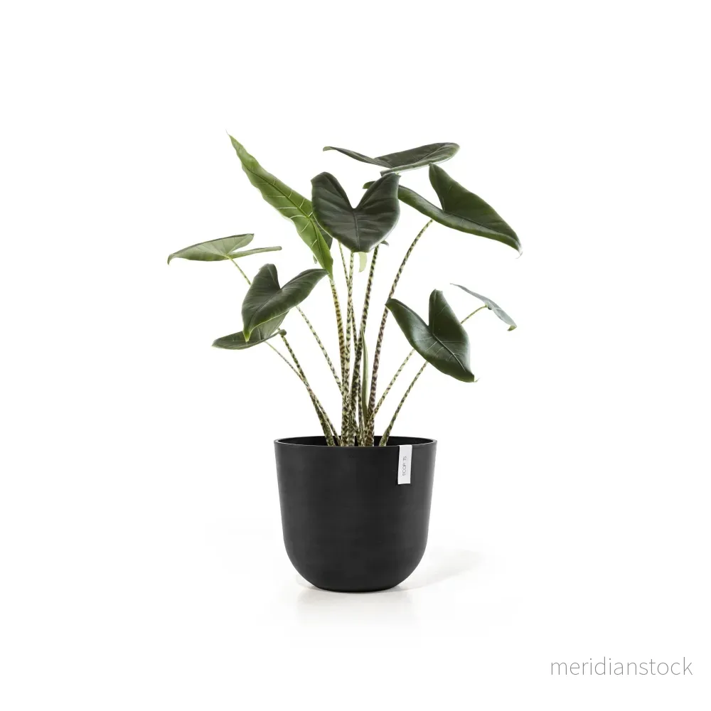 Kruka Oslo 45cm mörkgrå