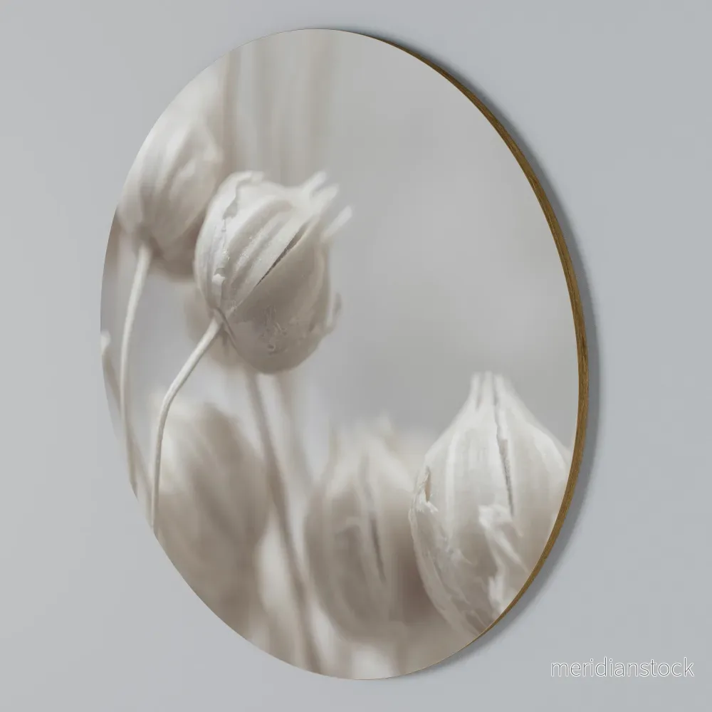 MYSTICAL BOTANICAL BLUSH Rund väggdekor MYSTICAL BOTANICAL BLUSH Rund väggdekor