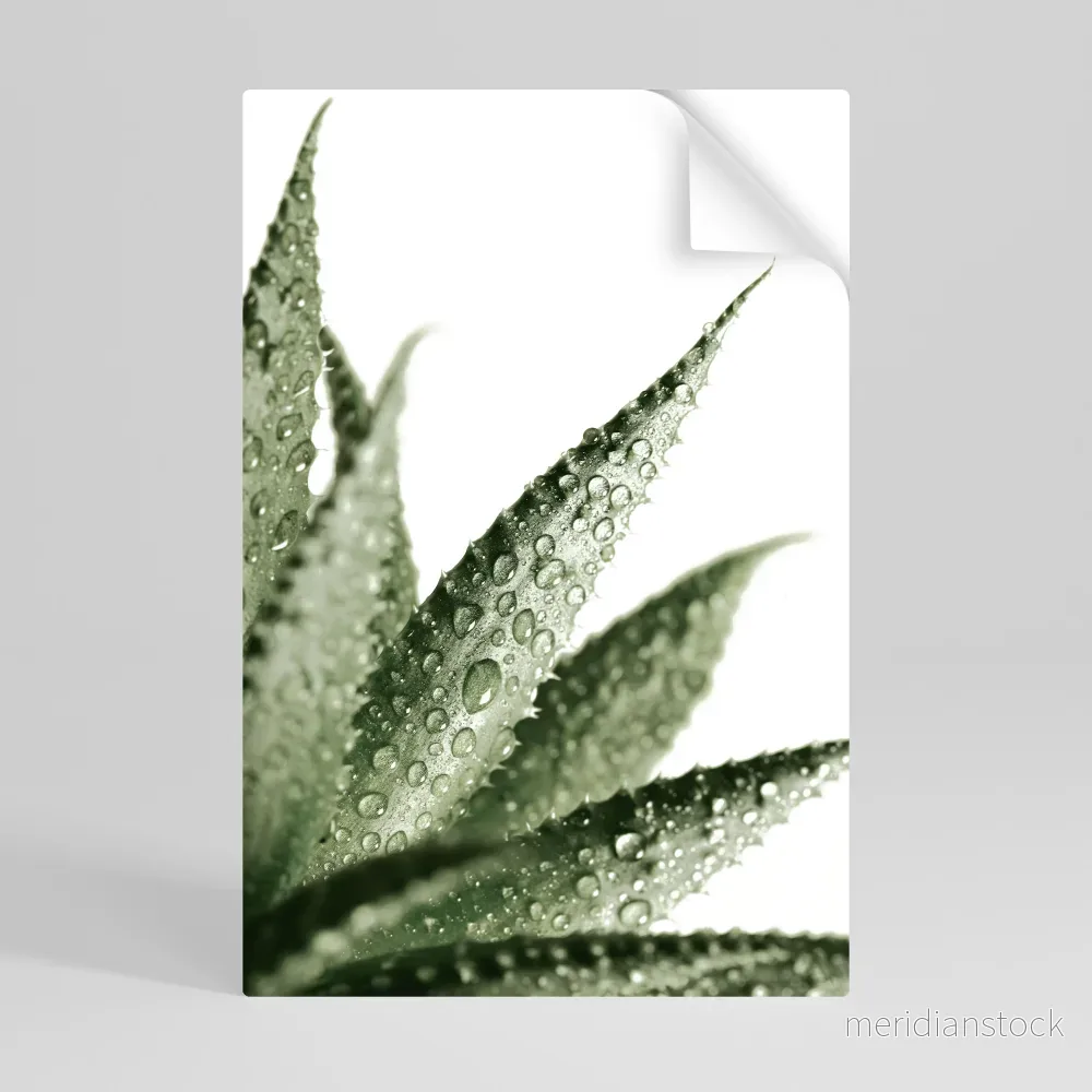 DEWDROP SYMPHONY Självhäftande Vertikal Poster - Bild 2
