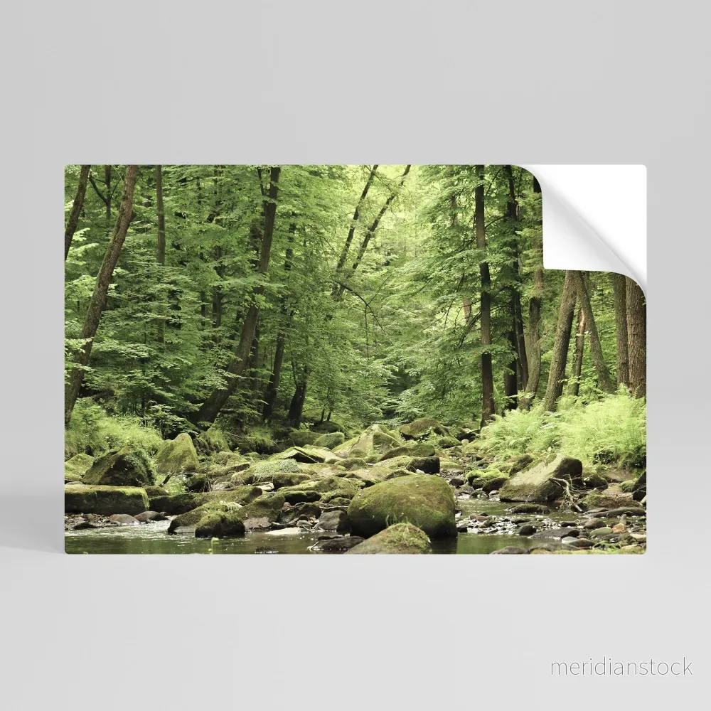 TRANQUIL STONES AND STREAMS Självhäftande Horisontell Poster TRANQUIL STONES AND STREAMS Självhäftande Horisontell Poster