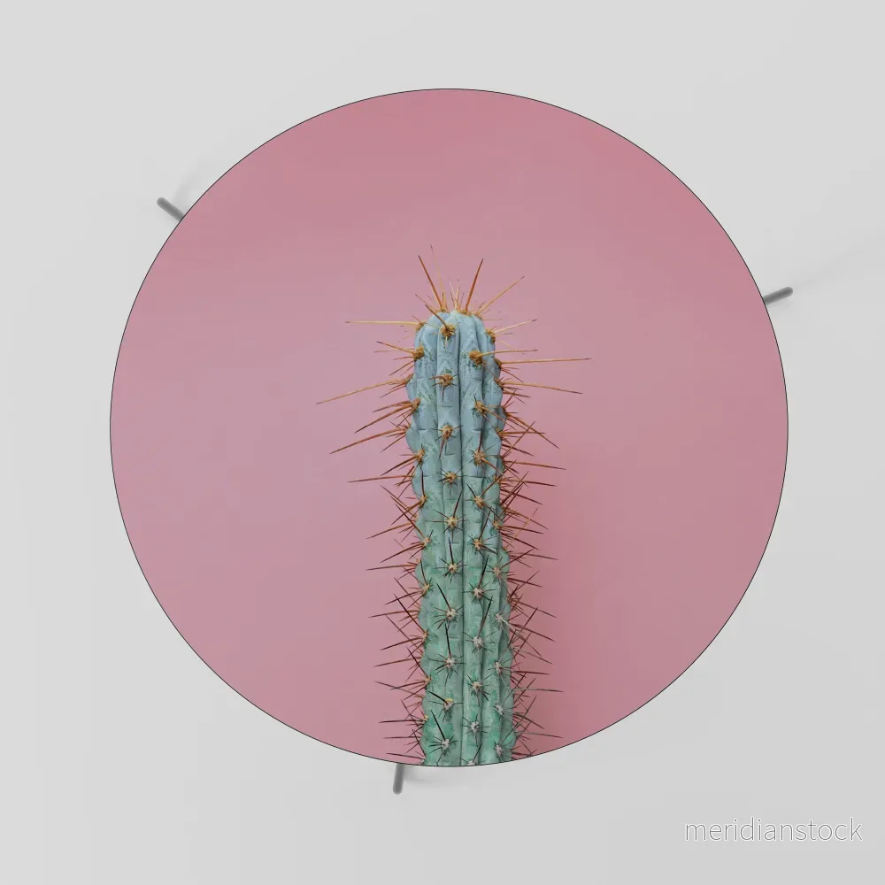 MISTER CACTUS Soffbord - Bild 2
