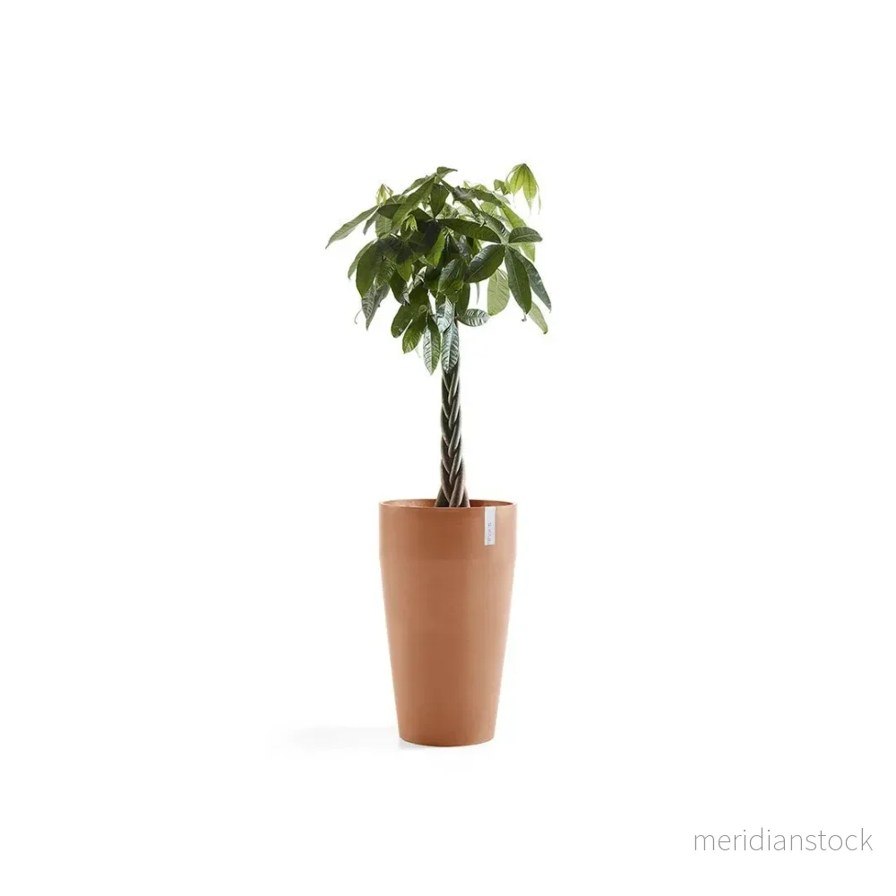 Kruka Sankara hög 75cm terrakotta