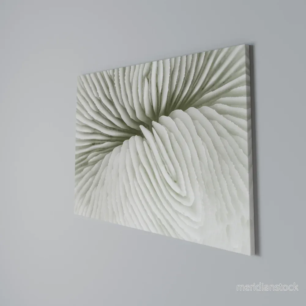 NATURE'S SYMMETRY Horizontal Canvas Print - Bild 3