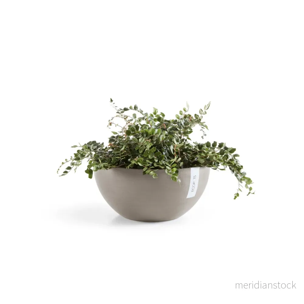 Blomkruka Bryssel 30cm Taupe Blomkruka Bryssel 30cm Taupe
