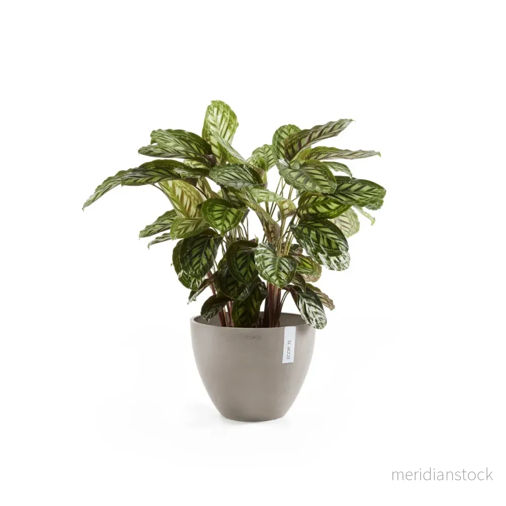 Kruka Antwerpen 50cm taupe Kruka Antwerpen 50cm taupe