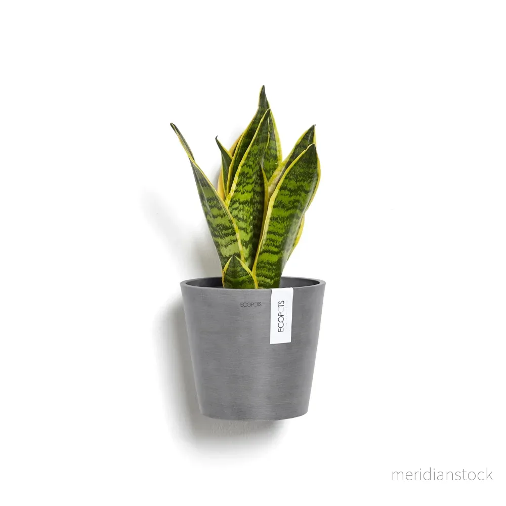 Kruka Amsterdam 20cm vägg grå Kruka Amsterdam 20cm vägg grå