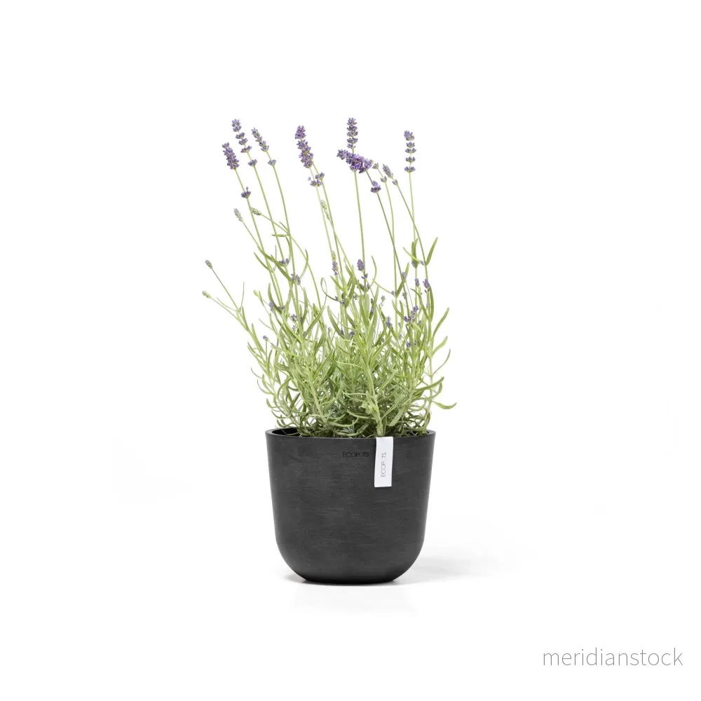 Kruka Oslo 19cm mörkgrå