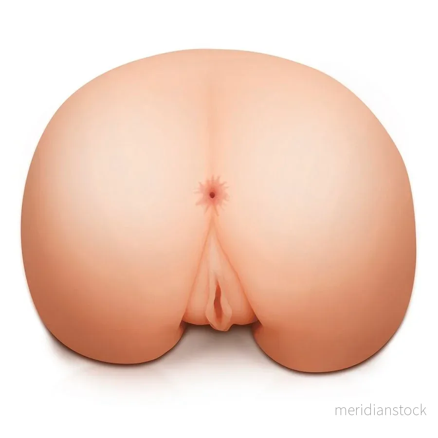 EXTREME TOYZ - MEGA FEMALE ANUS MASTURBATOR