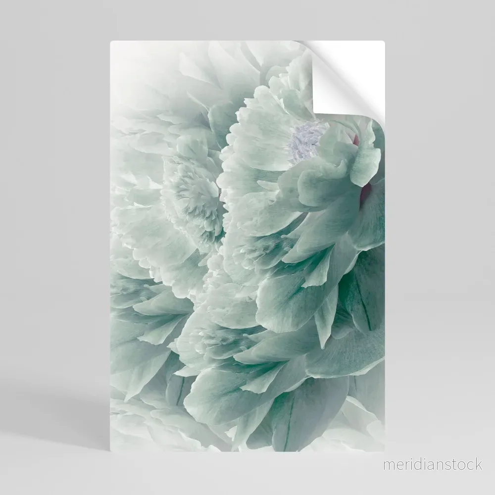 TREE PEONIES Självhäftande Vertikal Poster