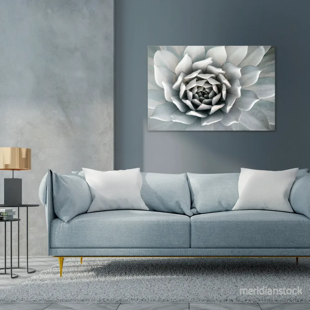 ELEGANT PETAL SWIRL Horizontal Canvas Print