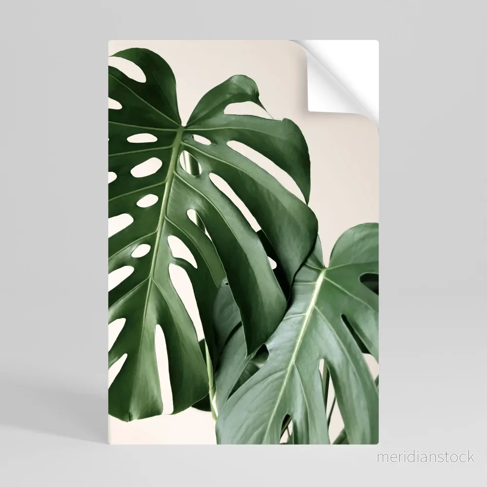 MONSTERA ACCURACY Självhäftande Vertikal Poster - Bild 2