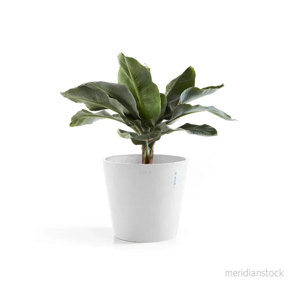 Kruka Amsterdam 25cm vit Kruka Amsterdam 25cm vit