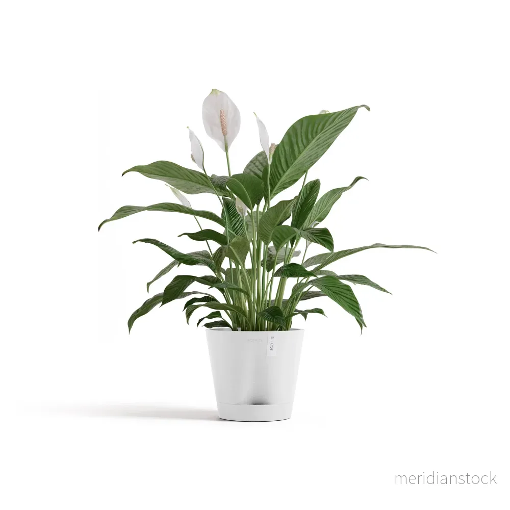 Kruka Venedig 2.0 20cm vit