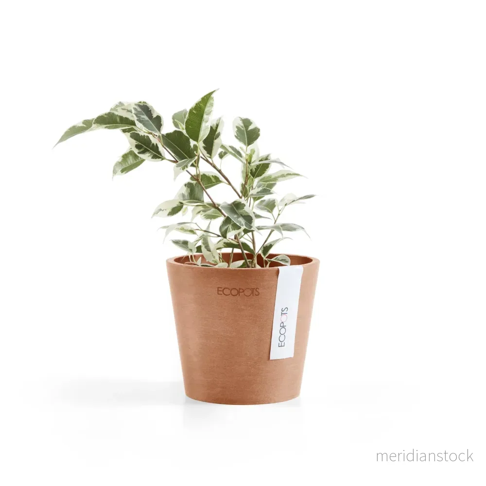 Kruka Amsterdam 10,5cm terrakotta Kruka Amsterdam 10,5cm terrakotta