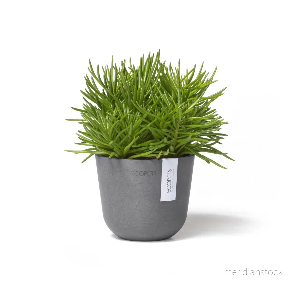 Kruka Oslo 11,5cm grå