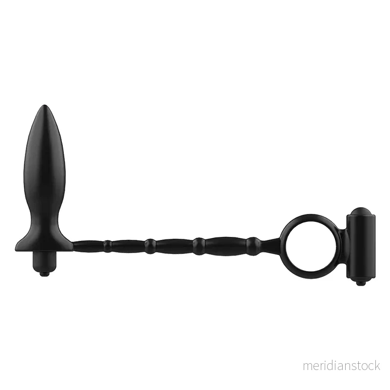 ADDICTED TOYS - ANAL PLUG WITH VIBRATORY RING - Bild 2