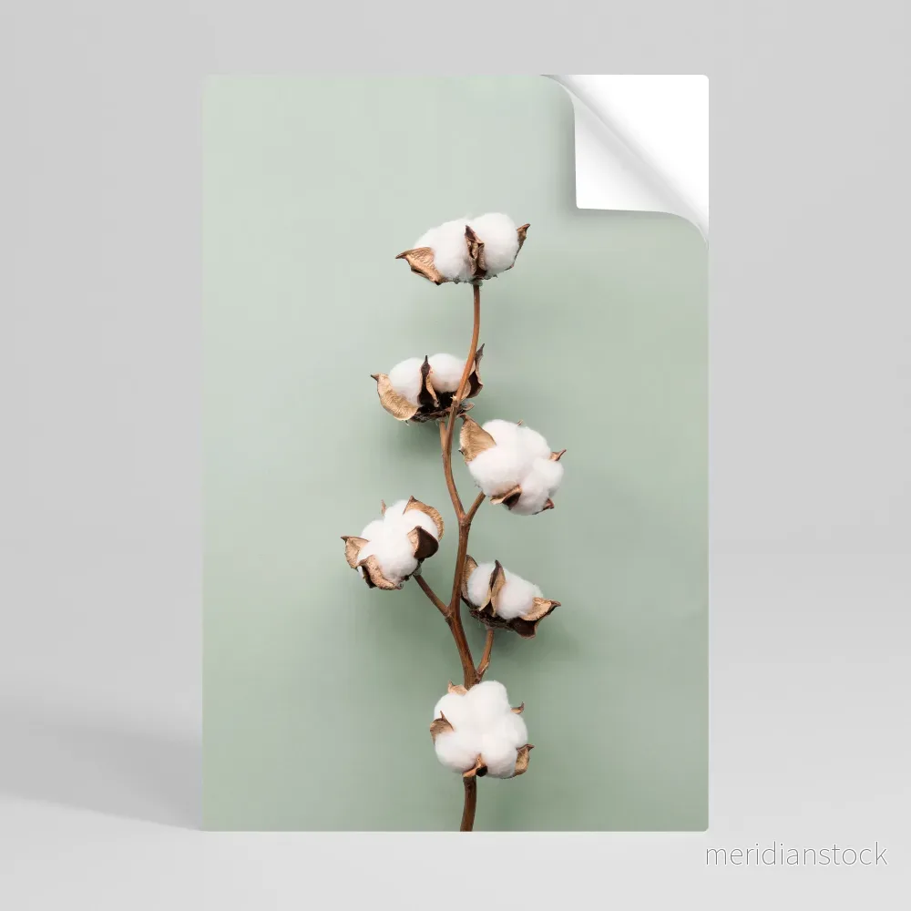 COTTON DREAMS UNFOLDED Självhäftande Vertikal Poster - Bild 2