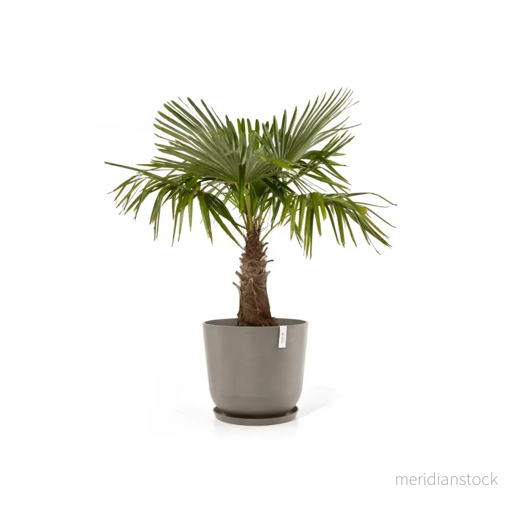 Kruka Oslo 75cm taupe - Bild 3