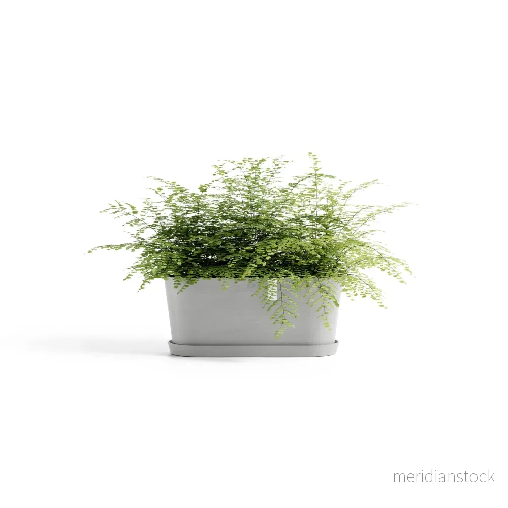 Kruka Tokyo 40cm vitgrå - Bild 2