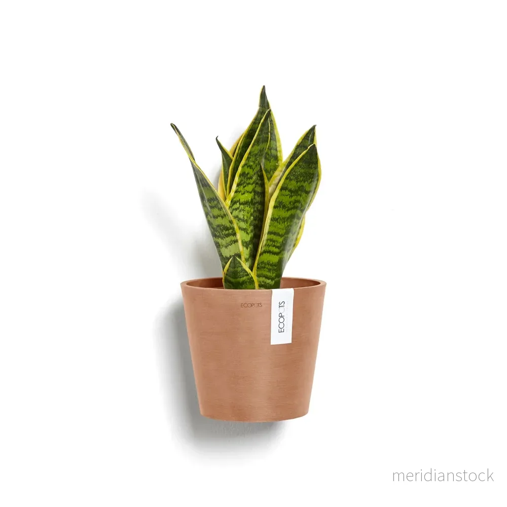 Kruka Amsterdam 20cm vägg terrakotta Kruka Amsterdam 20cm vägg terrakotta