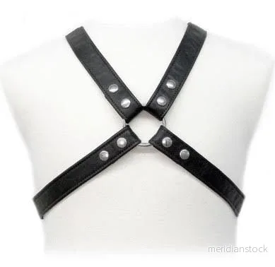 LEATHER BODY - LASIC HARNESS IN GARMENT - Bild 2