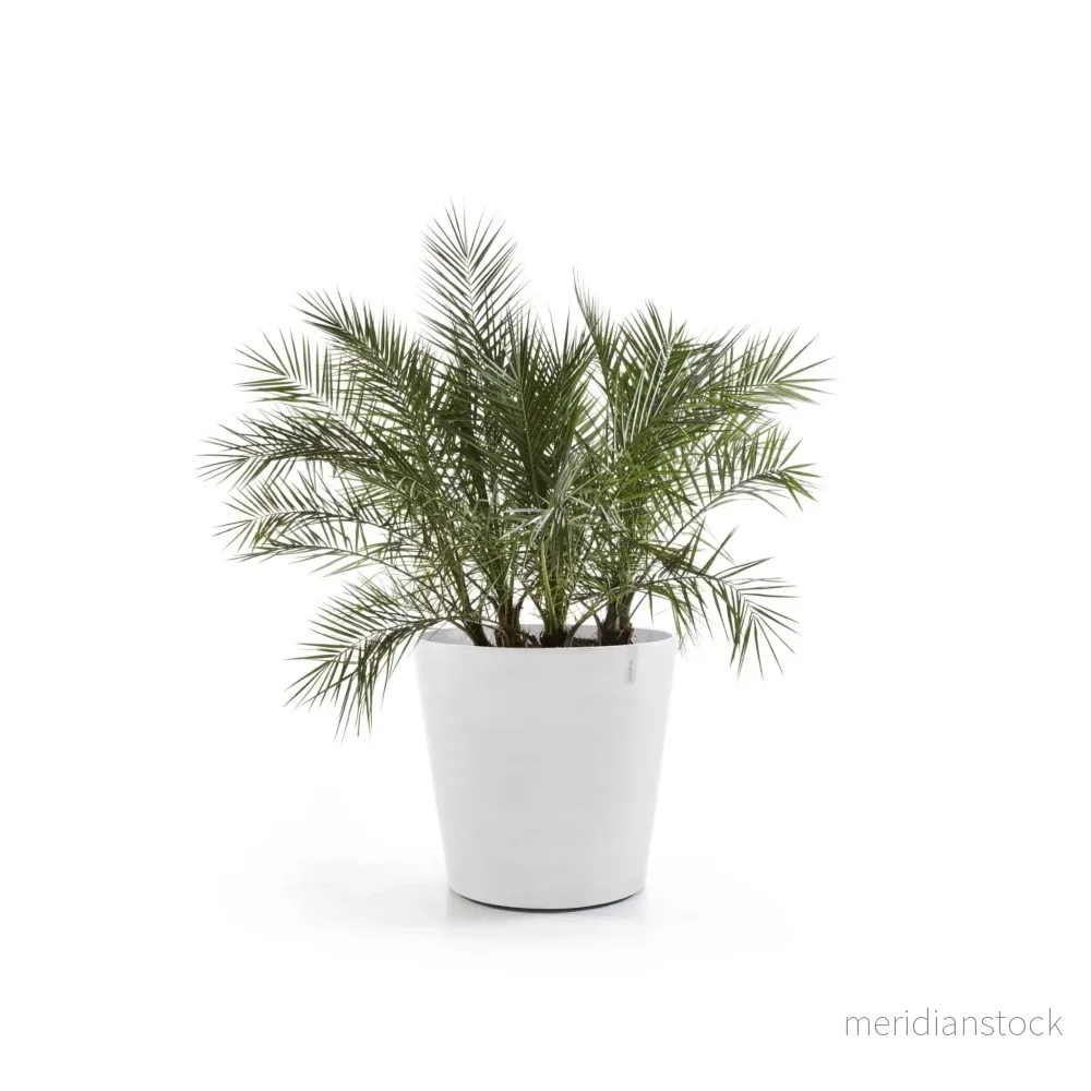 Kruka Amsterdam med hjul 60cm vit Kruka Amsterdam med hjul 60cm vit