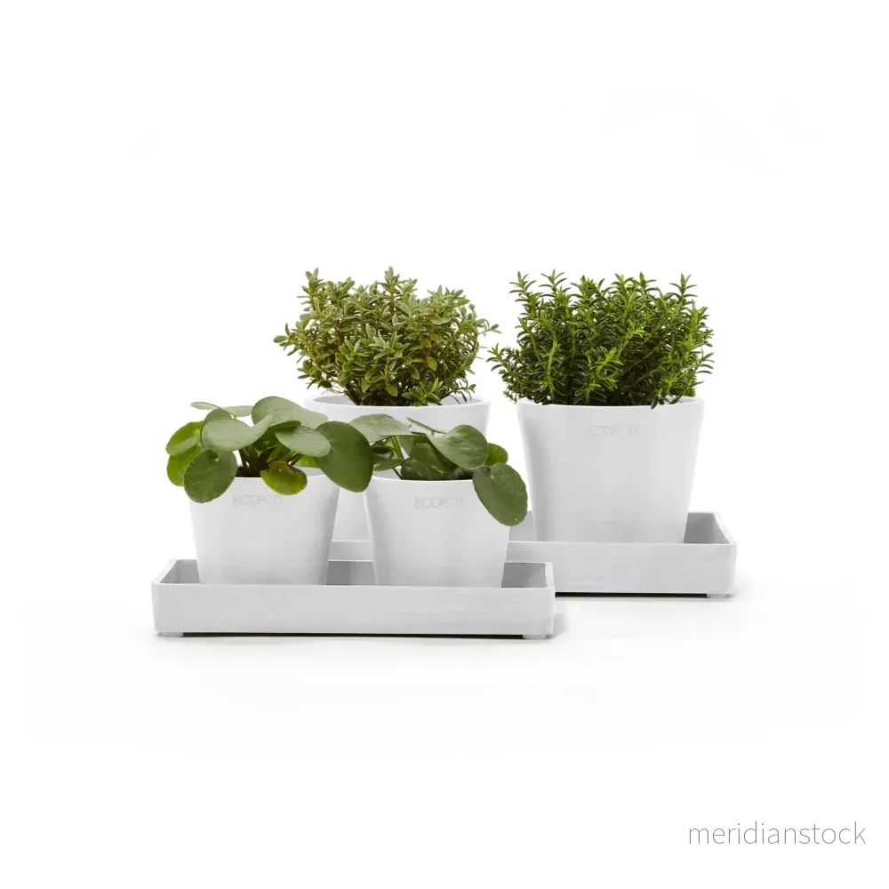 Kruka presentationsbricka 25cm vit - Bild 2