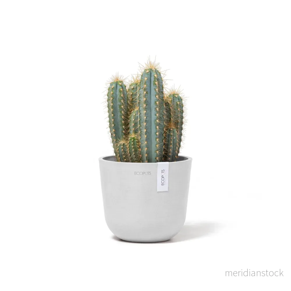 Kruka Oslo 16cm vit