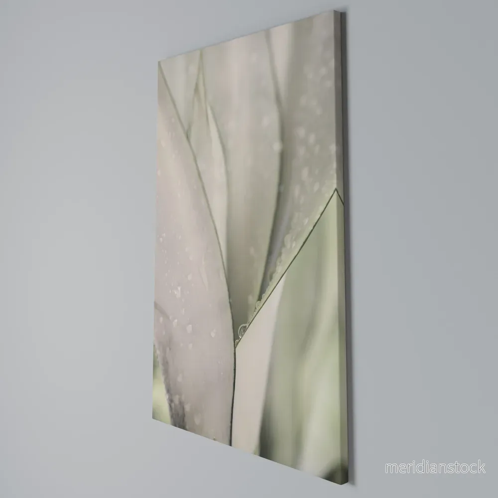 NATURE'S TAPESTRY Vertical Canvas Print - Bild 3